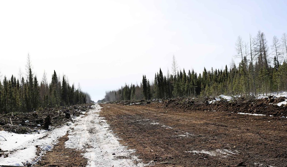 SUPPLIED                                                        



Interlake Reserves Tribal Council staffer Tosan Okorosobo took photos showing vegetation-cutting at the site of the Lake St. Martin and Lake Manitoba flood outlet channels in April 2019. The IRTC is concerned that the cutting is a sign construction will start even though an environmental assessment has not been completed.

- for Tessa Vanderhart story / Winnipeg Free Press